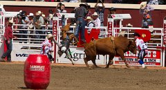 Calgary Stampede-2048